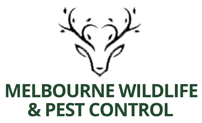 black-pestcontrol-logo